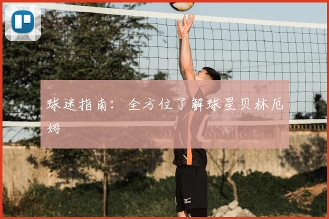 球迷指南:全方位了解球星贝林厄姆